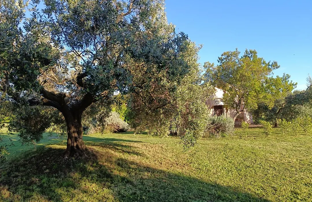 Agriturismo Fontelupo-1